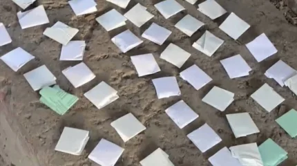 Талдықорғанда заңсыз есірткі айналымы тоқтатылды