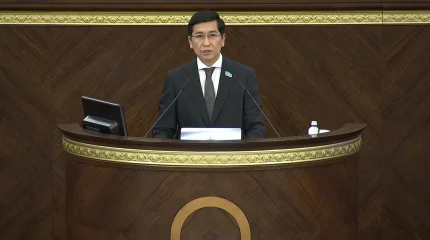 Штрафы за давление на учителей и исчезновение аспирина: что обсуждают в Мажилисе