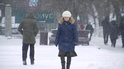 Қызылжарда әйел өзінің көңілдесін телевизордың пультымен ұрып өлтірді