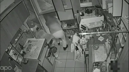 Түркістан облысында полицейлер 9 миллион теңге тұратын алтын бұйымдар ұрлығын ашты