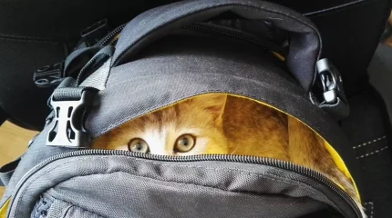 Из-за мороза всех школьников Астаны перевели на онлайн-обучение