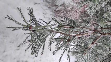 В Астане -33, в Шымкенте дождь: погода пятницу, 27 февраля