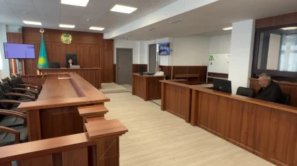 Енесінің басына 5 мәрте пышақ сұғып өлтірген келін жазадан босатылды