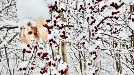 Метели идут на смену морозам: погода на понедельник, 2 марта