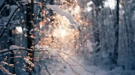 Бүгін ауа райы қандай болады?