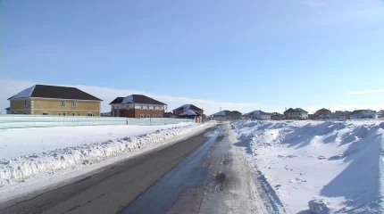 Әке-шешесі мен қарындасын айуандықпен өлтіріп, бөлшектеп тастаған