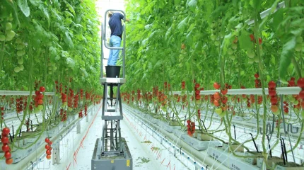 Алматы облысында коалиция мүшелері «Green Land Alatau» жылыжай кешенінің ұжымымен кездесті