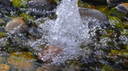 Ұлттық гидрогеологиялық қызмет Қазақстан аумағында 700-ден астам бұлақ анықтады