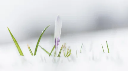 Прогноз погоды на 4 марта 2026 года в Астане, Алматы и Шымкенте