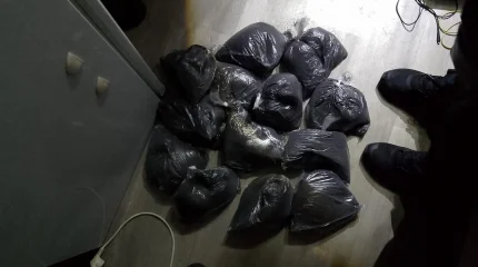 Костанайца задержали с опием и маком