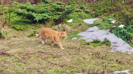 В Астане метель, в Алматы гололед: погода в четверг, 5 марта
