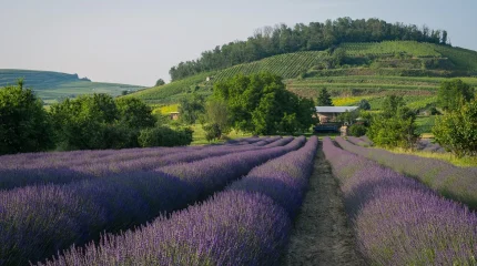 ШҚО-да 120 мың гектар жер мемлекетке қайтарылды