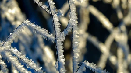 Бүгін ауа райы қандай болады?