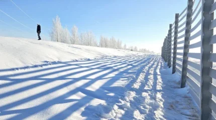 На трассе Астана – Кокшетау испытывают инновационную защиту от снежных заносов