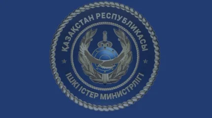 Казахстанцев могут втягивать в интернет-мошенничество под видом работы за рубежом