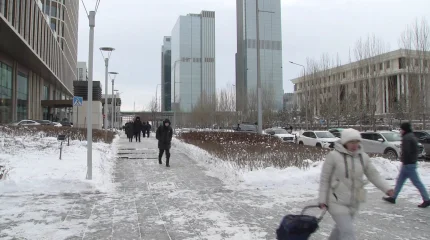 Стоматология басшысы 66 миллион теңге ақша жымқырған