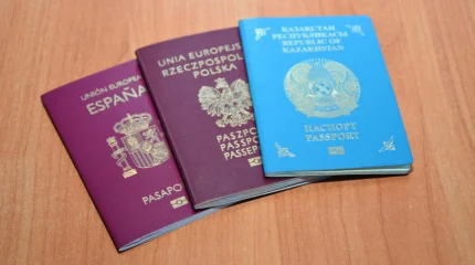 Абай облысында полиция көші-қон талаптарын бұзған азаматтарды анықтады