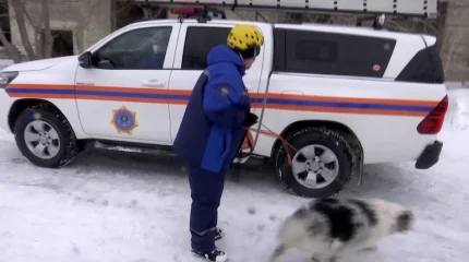 Женщина-кинолог с 20-летним стажем работает в ДЧС Павлодарской области