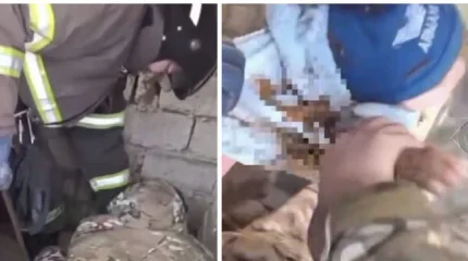 Трехлетний ребёнок упал в уличный туалет в Туркестанской области