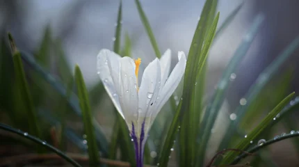В Астане сильный ветер, в Алматы туман: погода в воскресенье, 8 марта