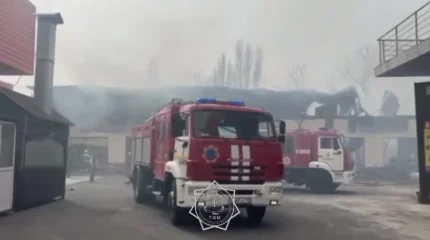 Пожар на СТО в Шымкенте: огонь повредил автомобиль