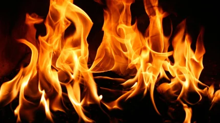 ТЖМ қызметкерлері автокешен аумағындағы өртті сөндірді