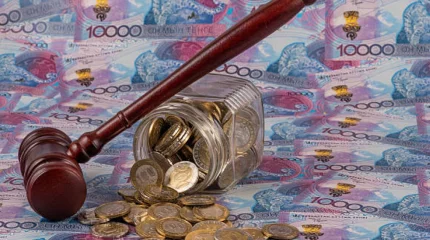 Зейнеткер жоқ жер телімін 2,5 млн теңгеге сатып алған