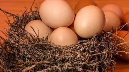 К Наурызу — большие скидки: сотни магазинов запускают Nauryz Sale