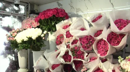 Тюльпан за 100 тенге: в соцсетях массово распродают цветы после праздников