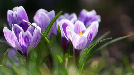 Какая погода ожидается в Астане, Алматы и Шымкенте 13 марта