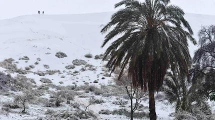 Снег в пустыне Сахара: редкое природное явление удивило туристов