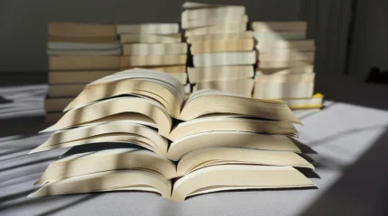 Президенттік арнаулы әдеби сыйлыққа өтінімдер қабылдау басталады