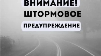 Снег, туман и порывистый ветер: синоптики предупреждают о непогоде