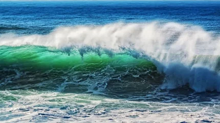 О цунами у берегов Франции предупредили в ЮНЕСКО