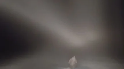 Пастух почти двое суток плутал в тумане в Костанайской области