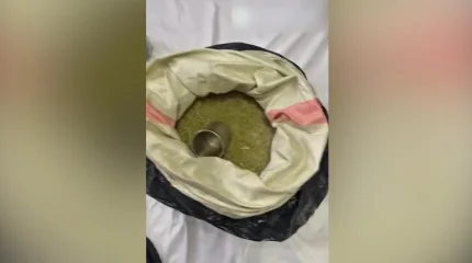 Житель Аксу хранил дома 11 килограммов наркотиков