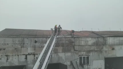Легковые автомобили вытащили пожарные с территории горящего СТО в Петропавловске
