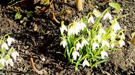 Сильный ветер в Шымкенте, гололед в Астане: погода во вторник, 17 марта