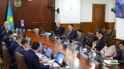 Бірқатар заң мен заңға тәуелді актілерді жаңа Конституцияға сәйкестендіру керек