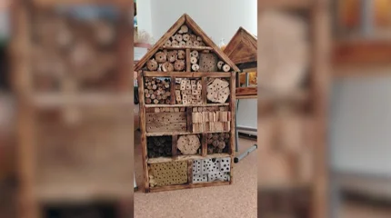 Отели для насекомых: уникальный эко-проект, не имеющий аналогов в СНГ, запустили в Костанае