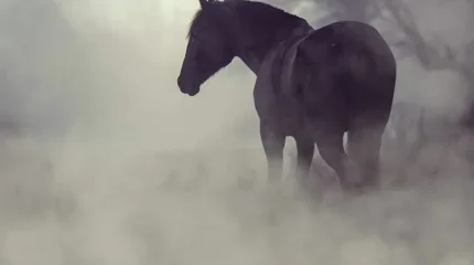 Сильный ветер в Шымкенте, туман в Астане: погода в пятницу, 20 марта