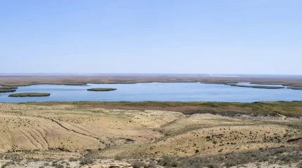 Высохшее дно Арала озеленяют с помощью авиационных технологий