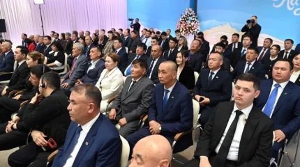 Президент Түркістан облысындағы бу-газ қондырғысының құрылысын тездетуді тапсырды