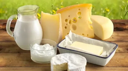 Қазақстанның дәстүрлі тағамдары экспорттық сұранысқа ие