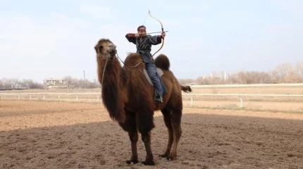 Четыре мишени за 10 секунд с верблюда: казахстанка установила мировой рекорд