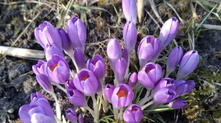 В Астане туман, в Алматы и Шымкенте дождь: погода в понедельник, 23 марта