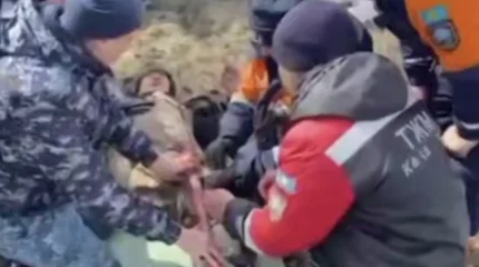 Питался снегом: абайский пастух пять дней пролежал в степи со сломанной ногой