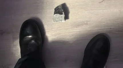 Метеорит пробил крышу дома в Техасе