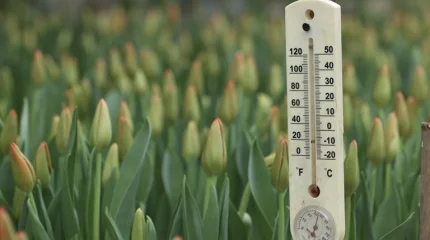 В Астане +10, в Шымкенте +27: погода в четверг, 26 марта