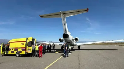 Егіздер тікұшақпен жеткізілді